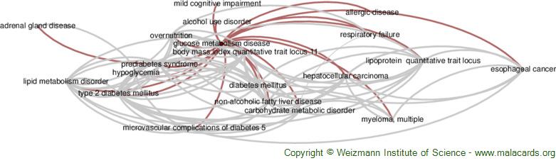 Diseases related to Glucose Metabolism Disease
