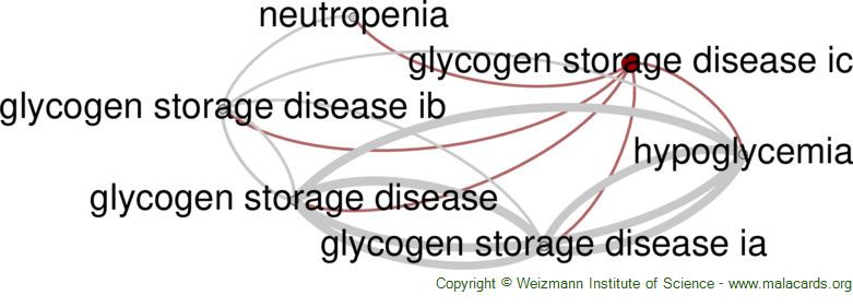 Diseases related to Glycogen Storage Disease Ic