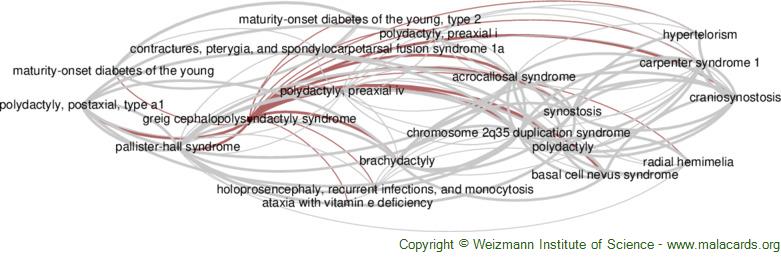 Diseases related to Greig Cephalopolysyndactyly Syndrome