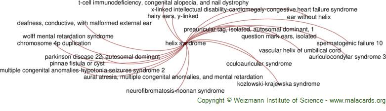 Diseases related to Helix Syndrome