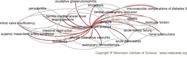 Diseases related to Henoch-Schoenlein Purpura