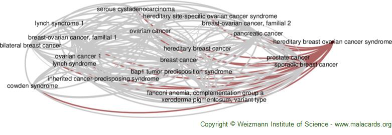 Diseases related to Hereditary Breast Ovarian Cancer Syndrome