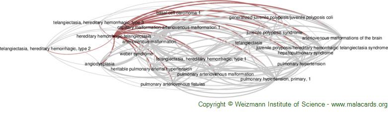 Diseases related to Hereditary Hemorrhagic Telangiectasia