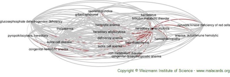 Diseases related to Hereditary Spherocytosis