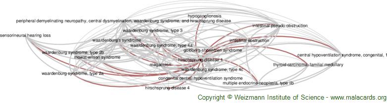 Diseases related to Hirschsprung Disease 1