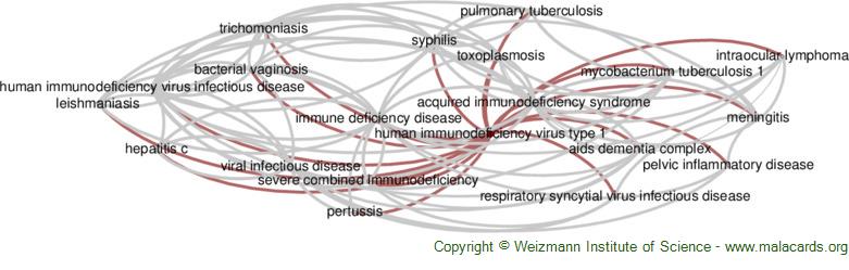 Diseases related to Human Immunodeficiency Virus Type 1