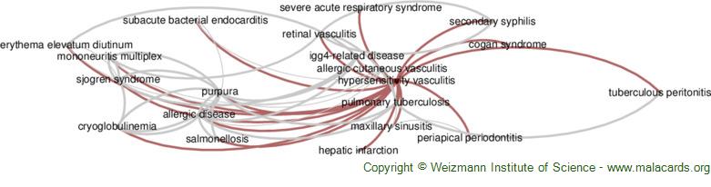 Diseases related to Hypersensitivity Vasculitis