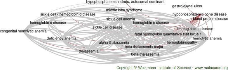 Diseases related to Hypophosphatemic Bone Disease
