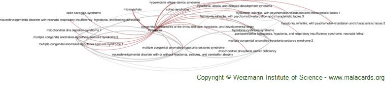 Diseases related to Hypotonia
