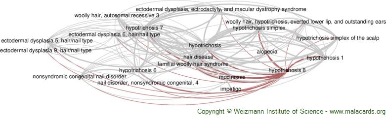 Diseases related to Hypotrichosis 8