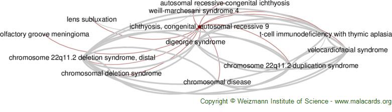 Diseases related to Ichthyosis, Congenital, Autosomal Recessive 9