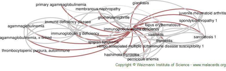 Diseases related to Immunoglobulin Alpha Deficiency