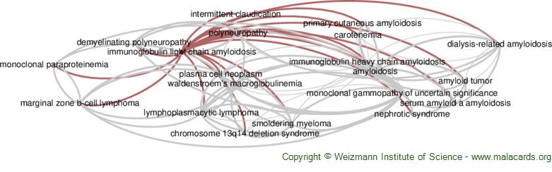 Diseases related to Immunoglobulin Light Chain Amyloidosis