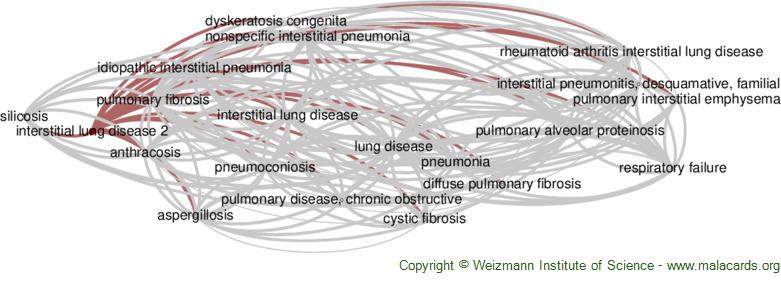 Diseases related to Interstitial Lung Disease 2