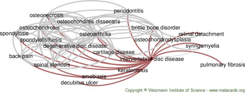 Diseases related to Intervertebral Disc Disease