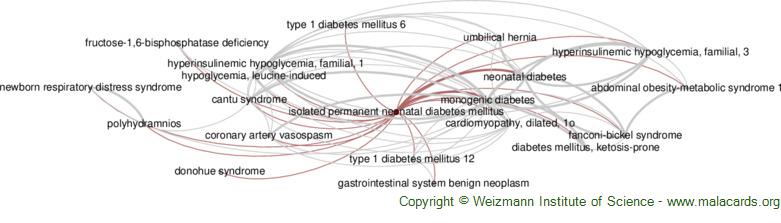 Diseases related to Isolated Permanent Neonatal Diabetes Mellitus