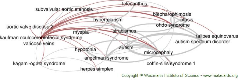 Kaufman Oculocerebrofacial Syndrome Disease Malacards Research Articles Drugs Genes 3970