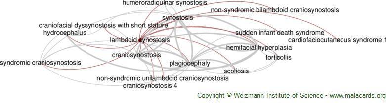 Diseases related to Lambdoid Synostosis
