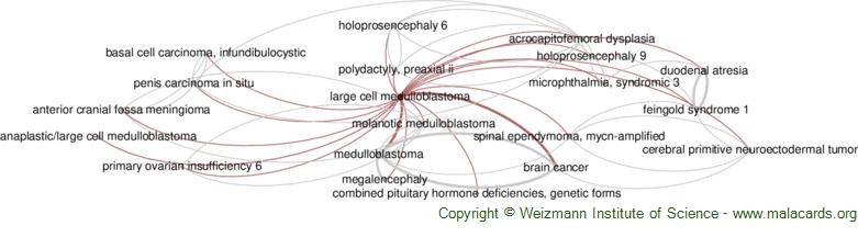 Diseases related to Large Cell Medulloblastoma