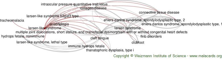 Diseases related to Larsen-Like Syndrome