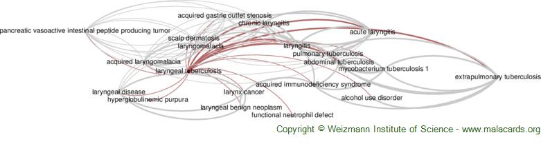 Diseases related to Laryngeal Tuberculosis