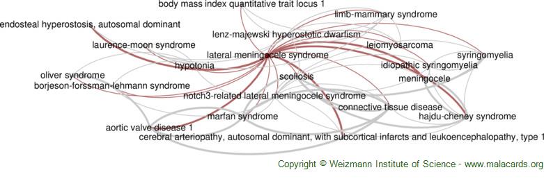 Diseases related to Lateral Meningocele Syndrome