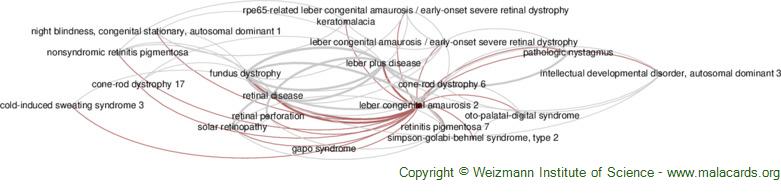 Diseases related to Leber Congenital Amaurosis 2