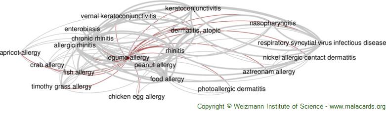 Diseases related to Legume Allergy