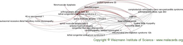 Diseases related to Lethal Congenital Contracture Syndrome 4