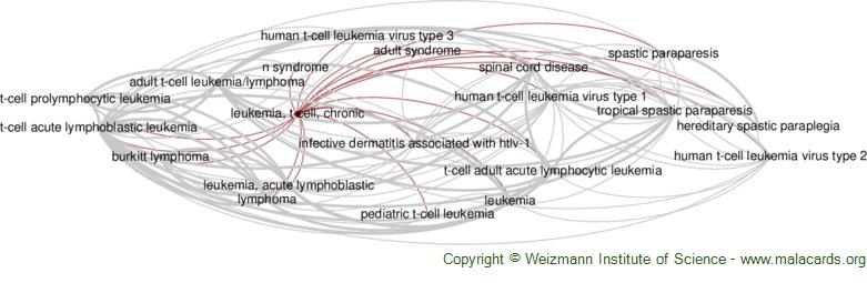 Diseases related to Leukemia, T-Cell, Chronic