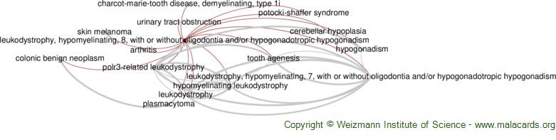 Diseases related to Leukodystrophy, Hypomyelinating, 8, with or Without Oligodontia and/or Hypogonadotropic Hypogonadism