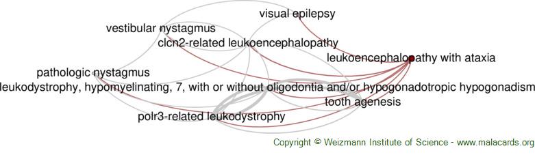 Diseases related to Leukoencephalopathy with Ataxia