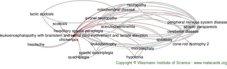 Diseases related to Leukoencephalopathy with Brainstem and Spinal Cord Involvement and Lactate Elevation