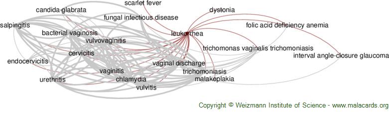 Diseases related to Leukorrhea