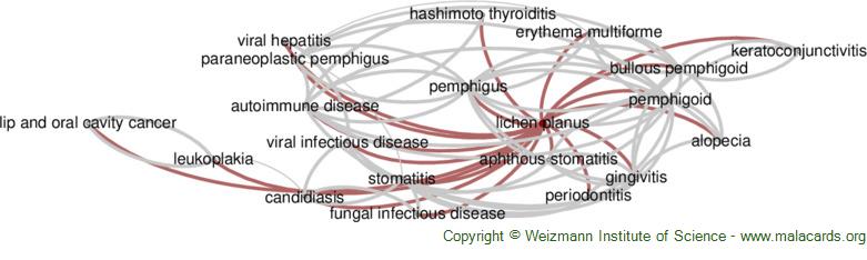 Diseases related to Lichen Planus