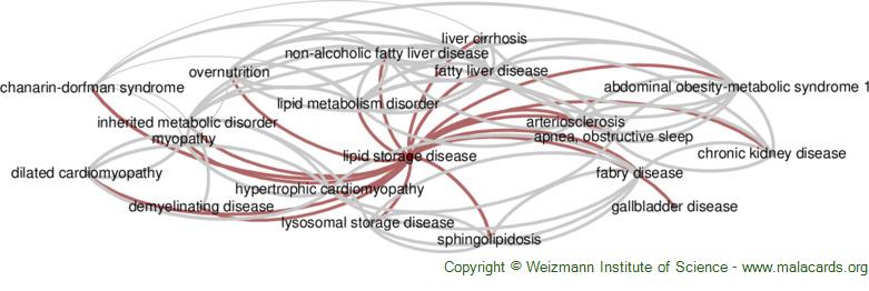 Diseases related to Lipid Storage Disease