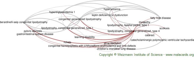 Diseases related to Lipodystrophy, Congenital Generalized, Type 4