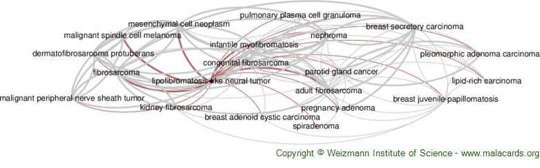 Diseases related to Lipofibromatosis-Like Neural Tumor