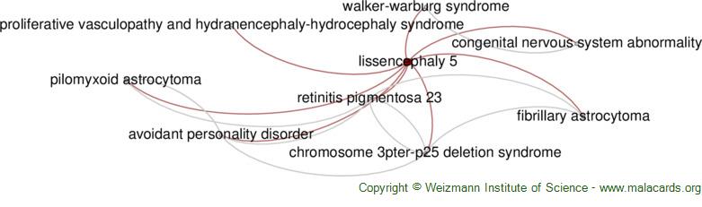 Diseases related to Lissencephaly 5