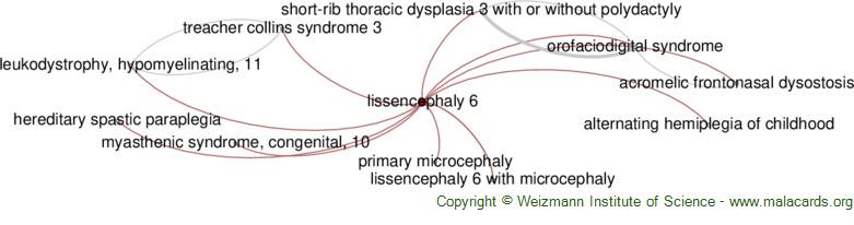 Diseases related to Lissencephaly 6