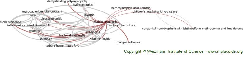Diseases related to Listeria Meningitis