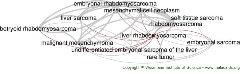 Diseases related to Liver Rhabdomyosarcoma