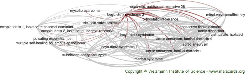 Diseases related to Loeys-Dietz Syndrome 2