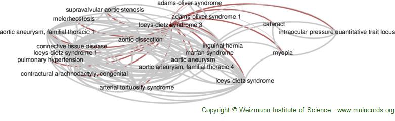 Diseases related to Loeys-Dietz Syndrome 3