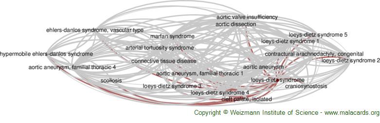 Diseases related to Loeys-Dietz Syndrome