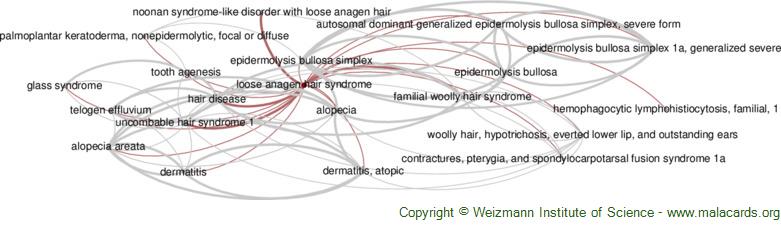 Diseases related to Loose Anagen Hair Syndrome
