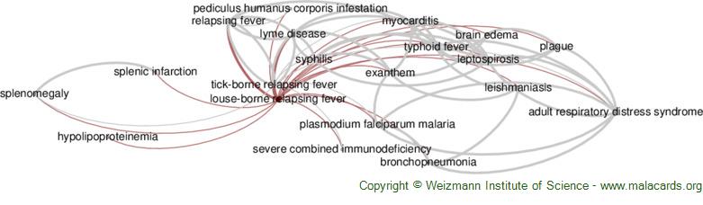 Diseases related to Louse-Borne Relapsing Fever