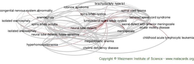 Diseases related to Lumbosacral Spina Bifida Cystica