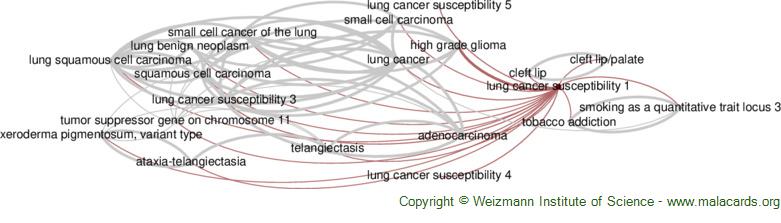 Diseases related to Lung Cancer Susceptibility 1
