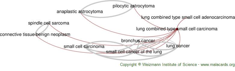 Diseases related to Lung Combined Type Small Cell Carcinoma
